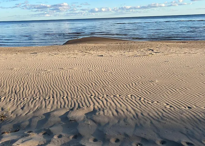 Tiny House Apartment *