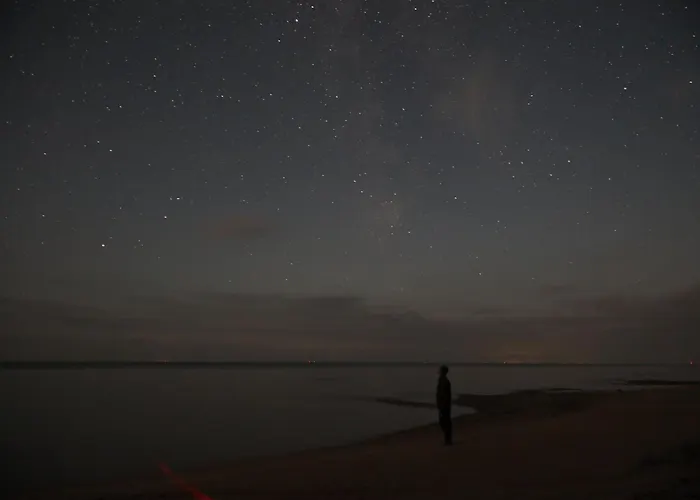 Tiny House Apartment